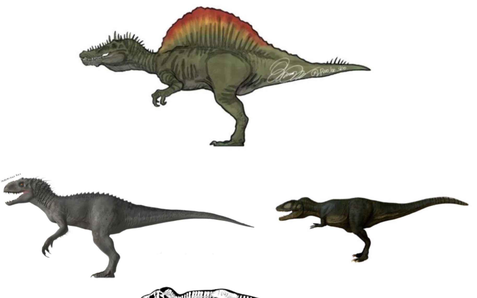 王者棘多拉【棘斯拉混剪】_哔哩哔哩_bilibili