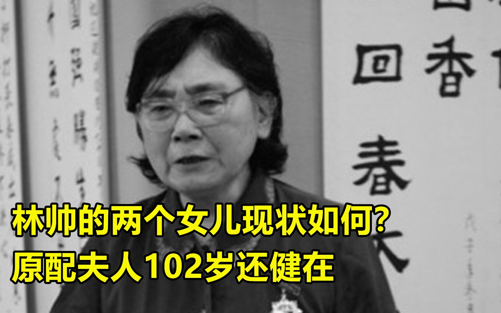 林元帅的家人,前妻102岁还健在,两个女儿后来过得怎样?哔哩哔哩bilibili