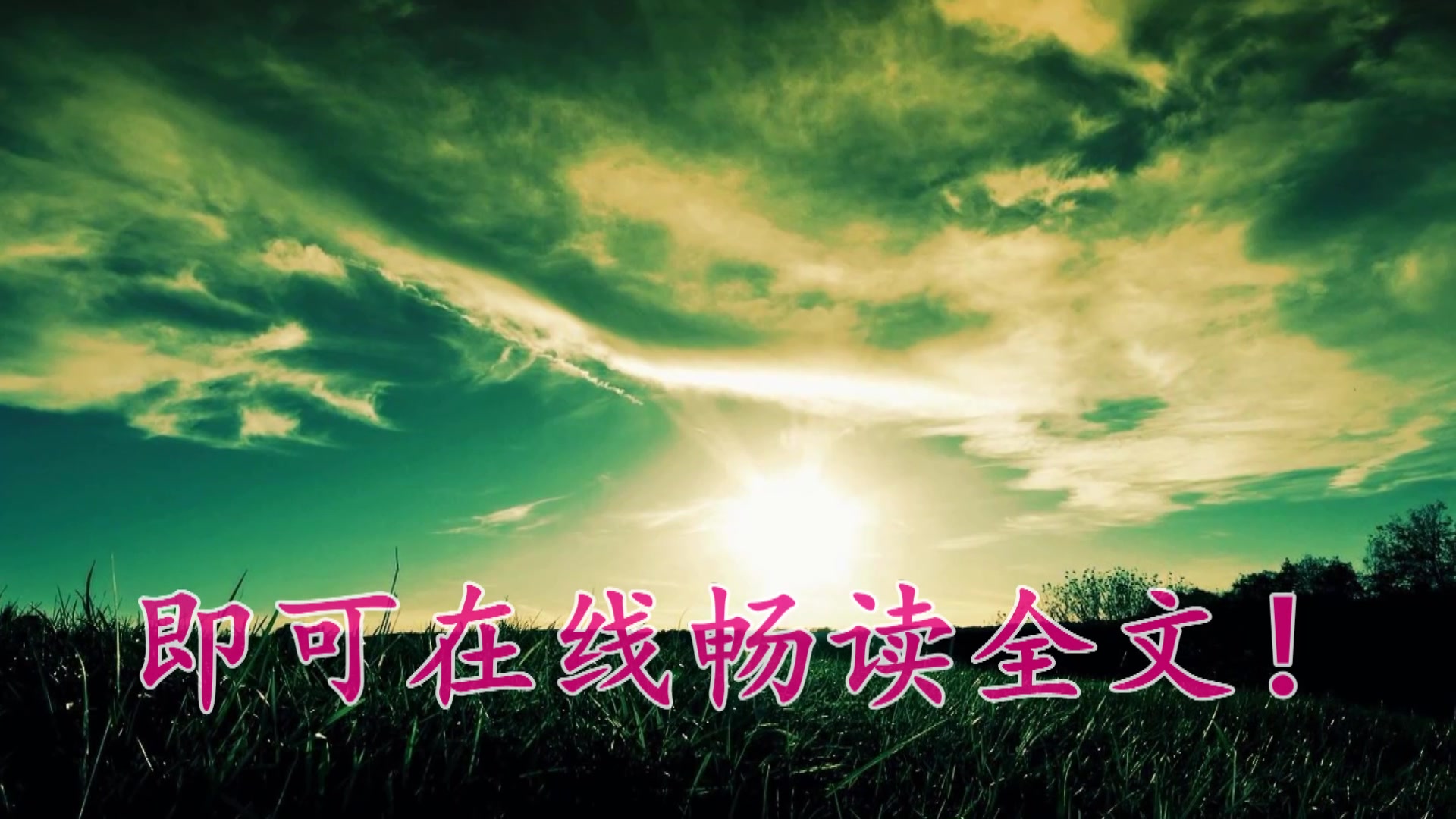 人中之龙沈默小说完整版全文免费阅读