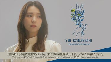 2024.01.31 櫻坂46 小林由依 卒業コンサート_哔哩哔哩_bilibili