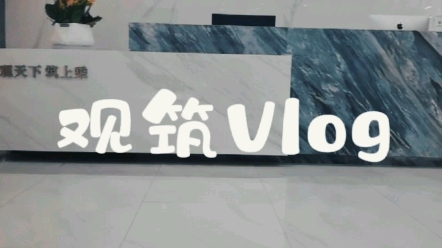 #观筑vlog #湖北观筑律师事务所 律所搬家了,可是张律师这是怎么了?哔哩哔哩bilibili