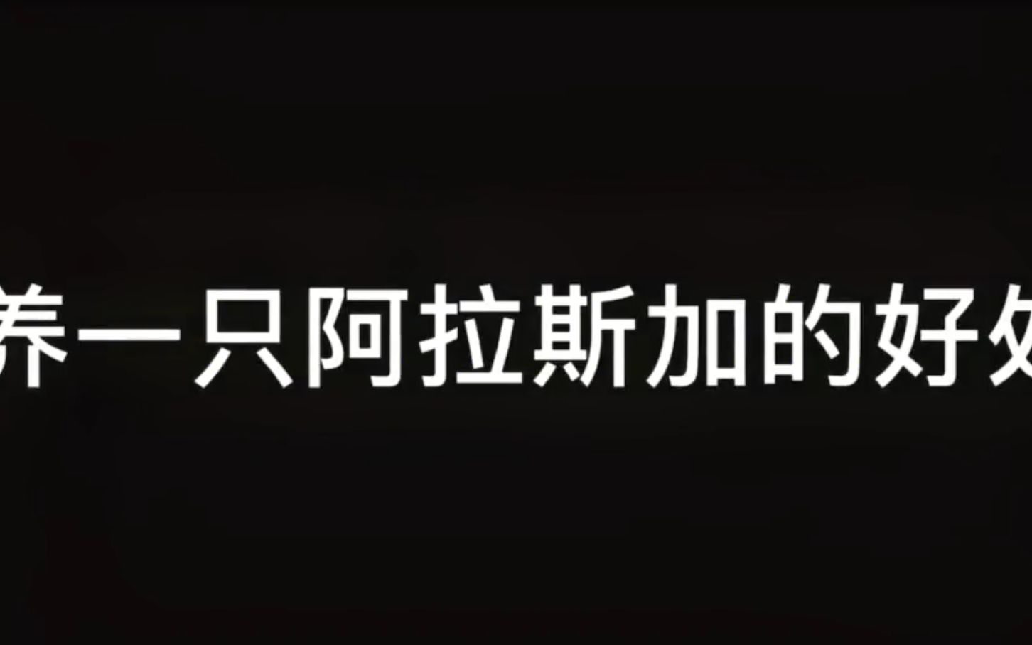 养一只阿拉斯加有什么好处哔哩哔哩bilibili