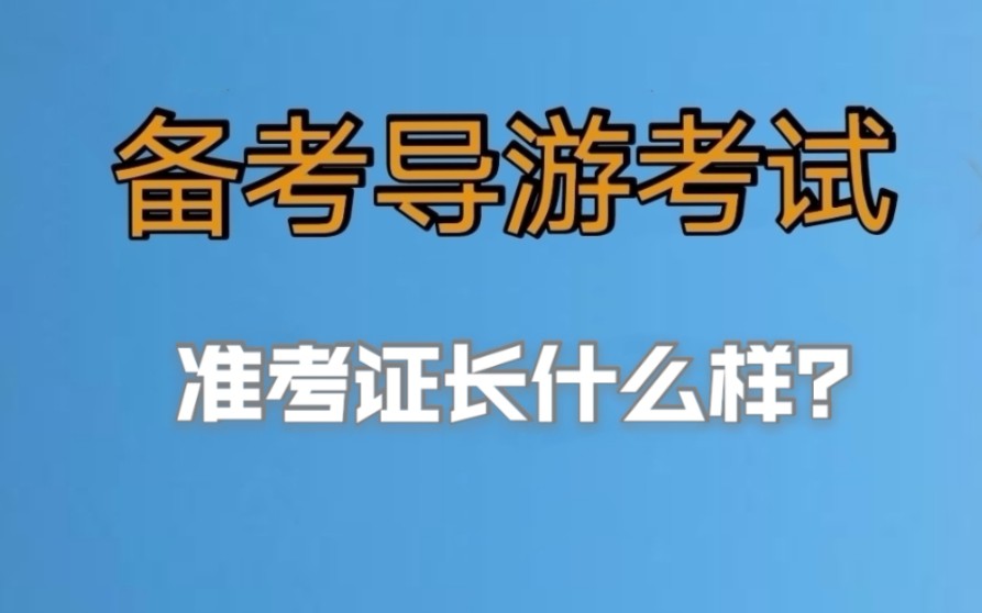 2022年导游资格证考试 导游证准考证 小白备考导游证考试 老导游手把手教你一次通过导游考试哔哩哔哩bilibili