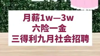 14薪，周末双休，员工商业保险，专业限制少，不在乎空窗期，员工子女住院治疗报销。