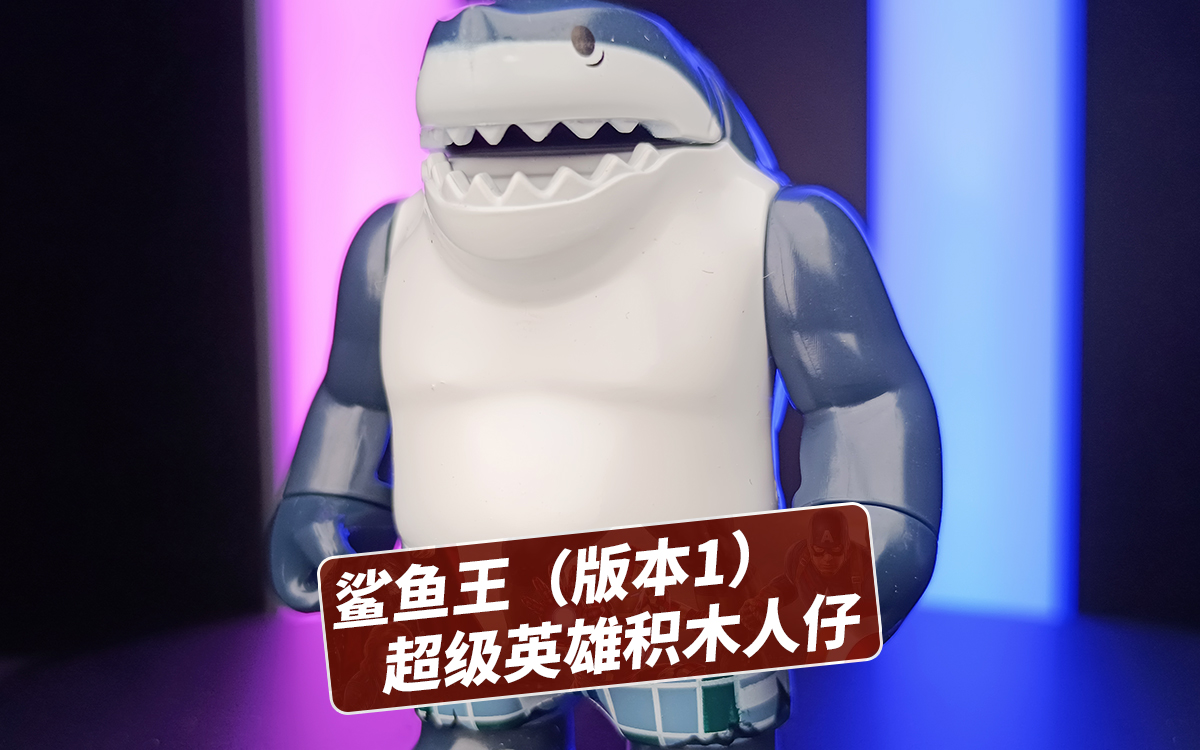 自杀小队的核心成员,又凶残又逗比的鲨鱼王,拼装积木人仔非乐高