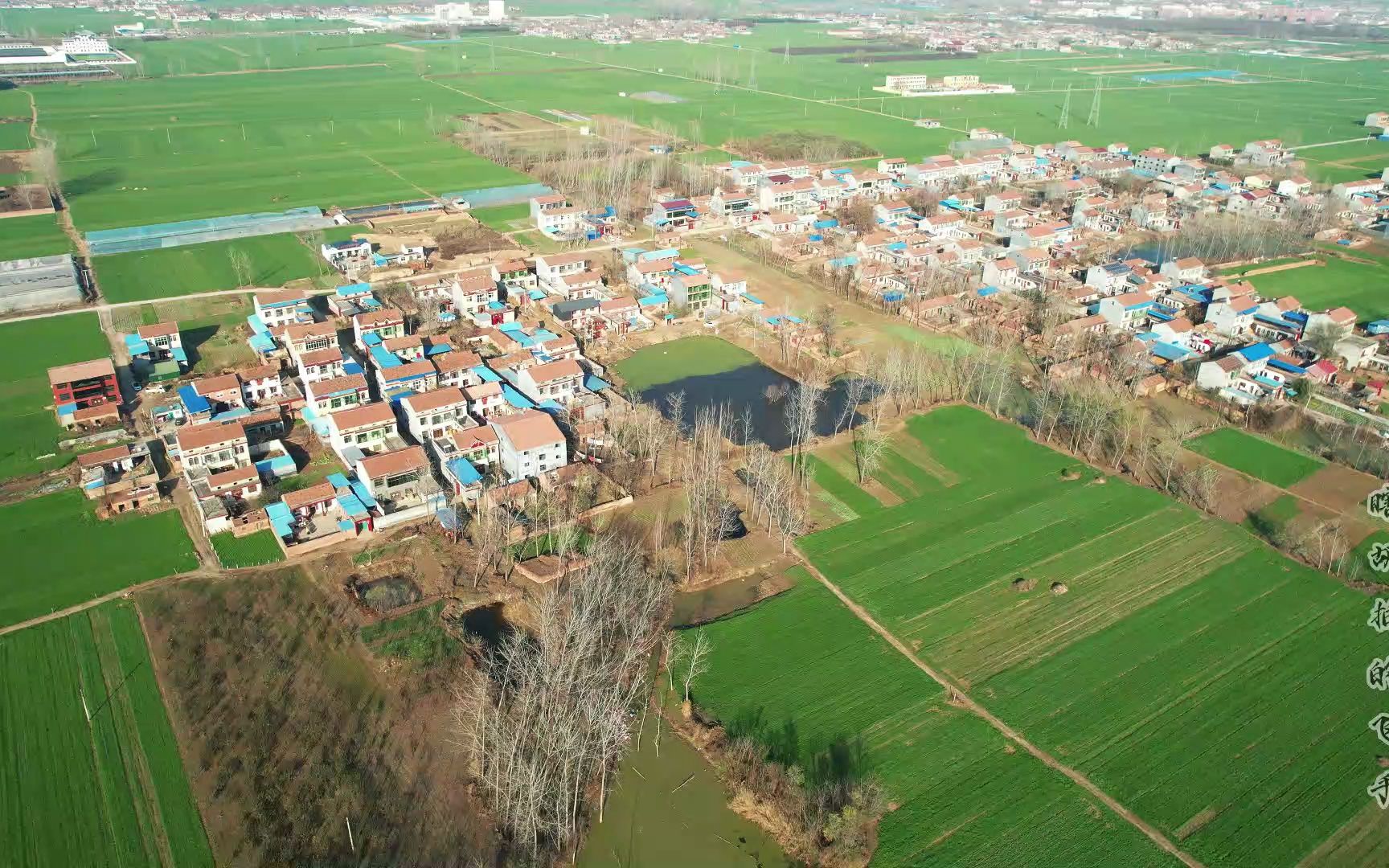 航拍虞城县李老家乡赵庄. #航拍最美家乡 #瞎胡拍的飞手 #虞城县