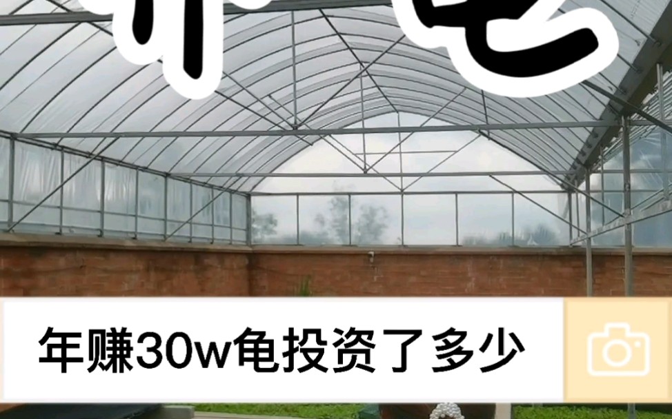 这期继续聊一下张大哥年赚30的小养殖场投资了多少哔哩哔哩bilibili