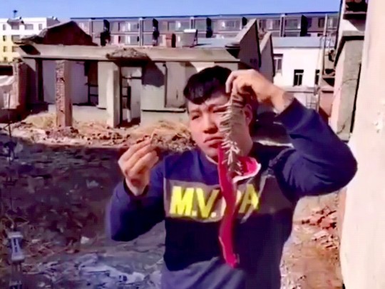 早期虎哥整活:小鞭炮