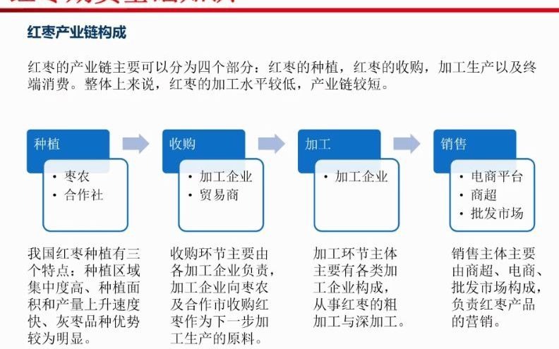 红枣期货基础知识哔哩哔哩bilibili