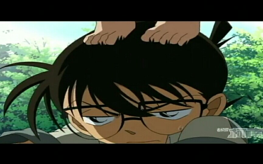 名侦探柯南小哀踩在柯南头上抓小猫柯南好可怜