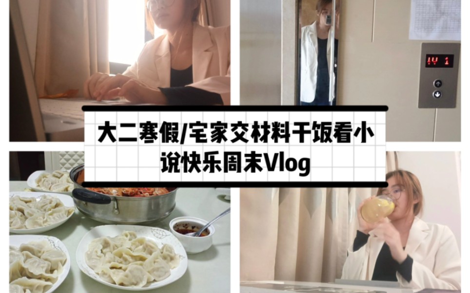 大二寒假/宅家交材料干饭看小说快乐周末Vlog哔哩哔哩bilibili