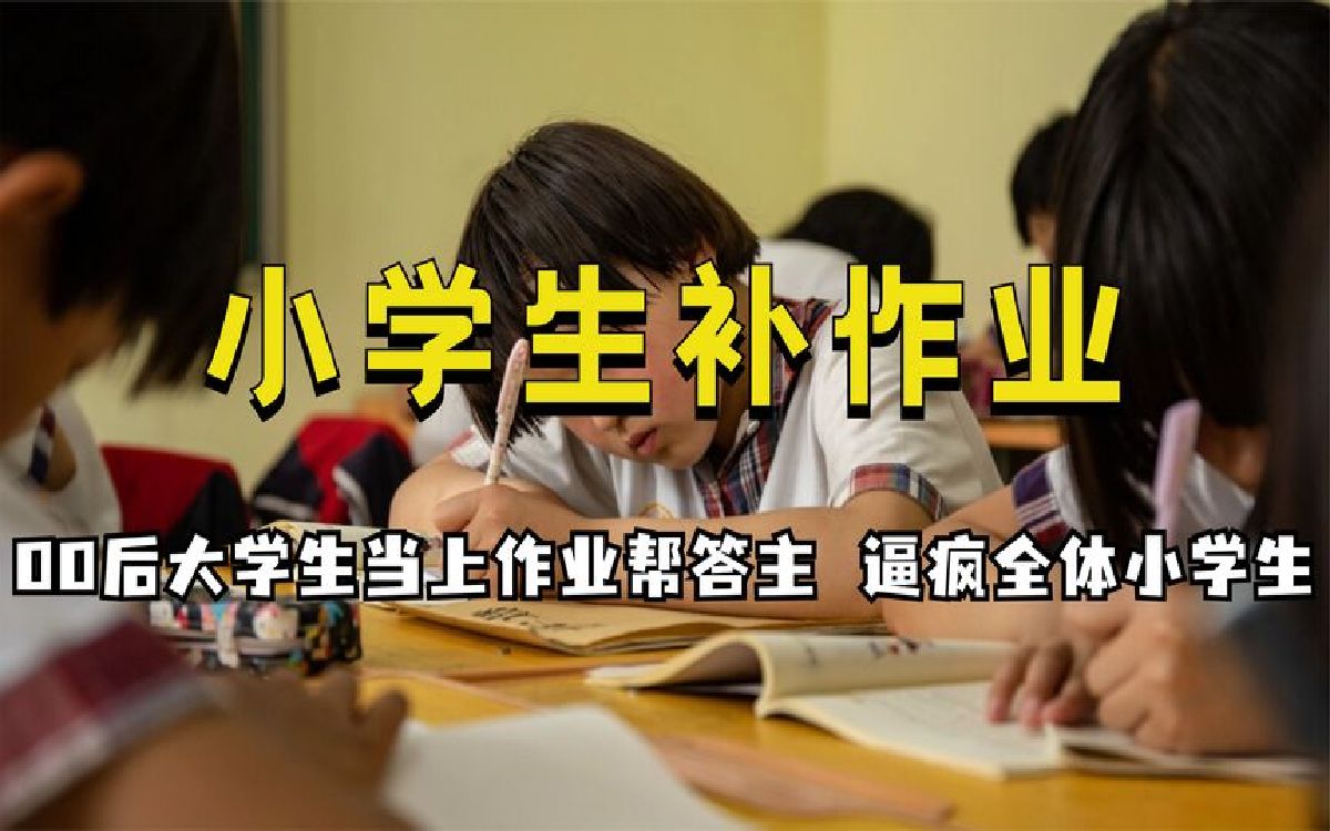 00后大学生当作业帮答主,逼疯全体小学生,网友给他个完整童年哔哩哔哩bilibili