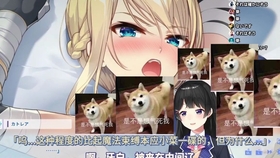 うきょち 結婚報告会 おめでとう 哔哩哔哩 つロ干杯 Bilibili