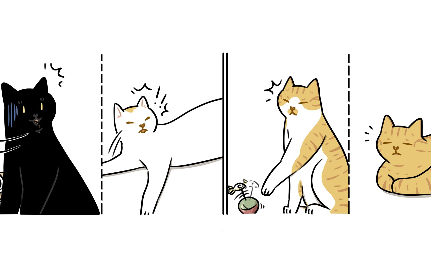 【么一嗷喵·第44期】来人啦