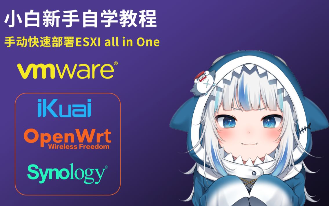 【小白自学教程】手动快速部署ESXI 爱快+OpenWrt+NAS哔哩哔哩bilibili