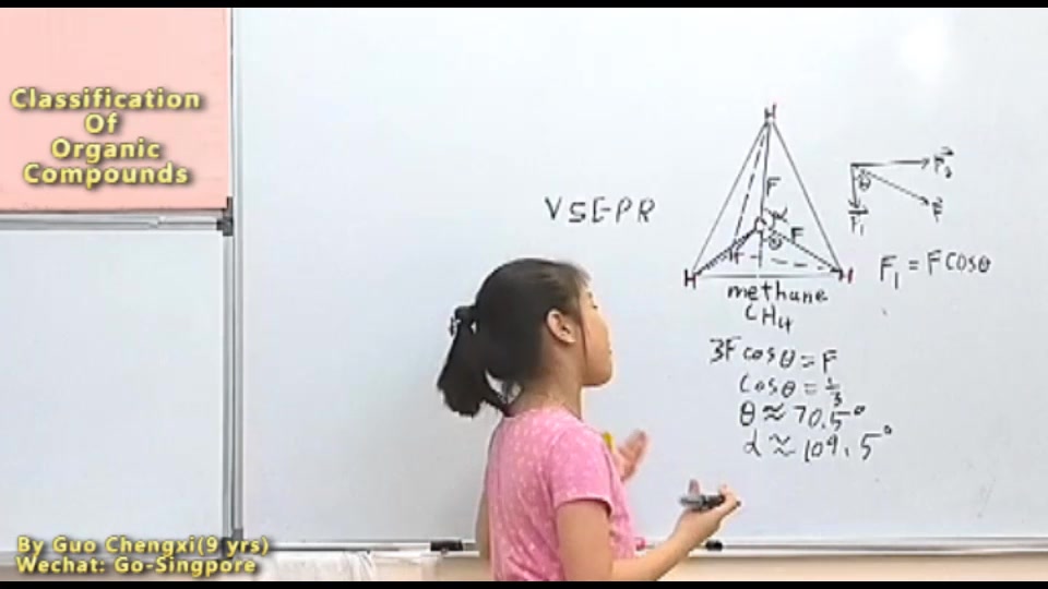 [图](01-07)9岁郭承曦用英文开讲《有机化学》