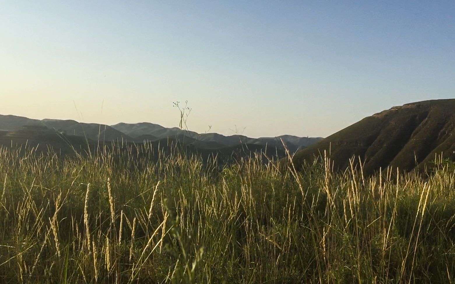 [图]爬山，吃荞面，吼秦腔。