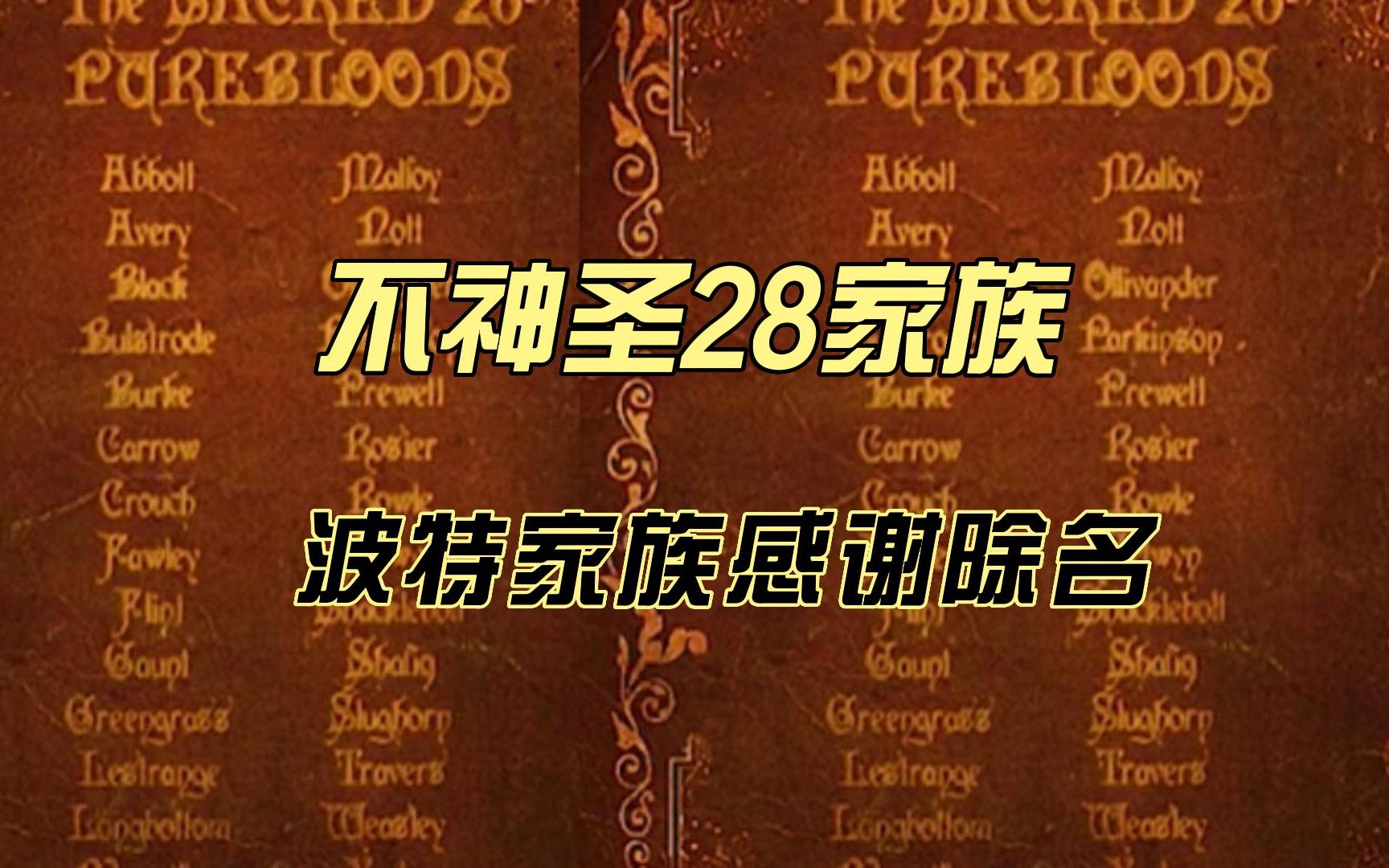 被神圣二十八族除名之后,哈利波特家族表示由衷的感谢哔哩哔哩bilibili