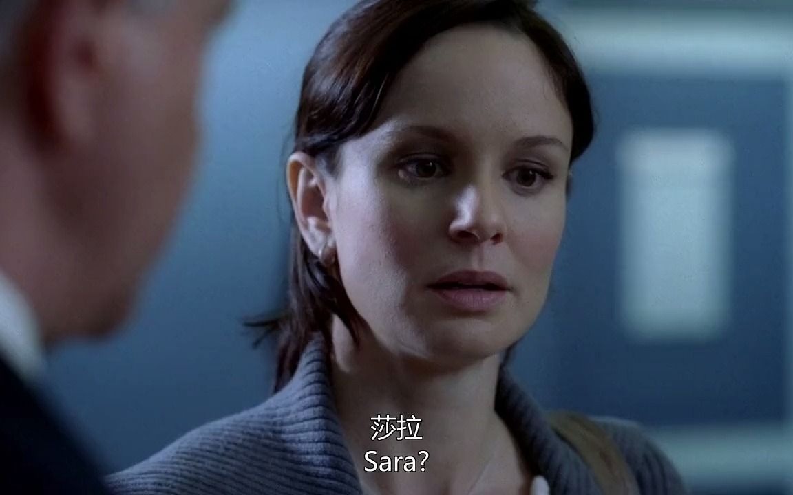 prison break michael&sara 越狱s2-cut18-2 关键时刻看我sara姐