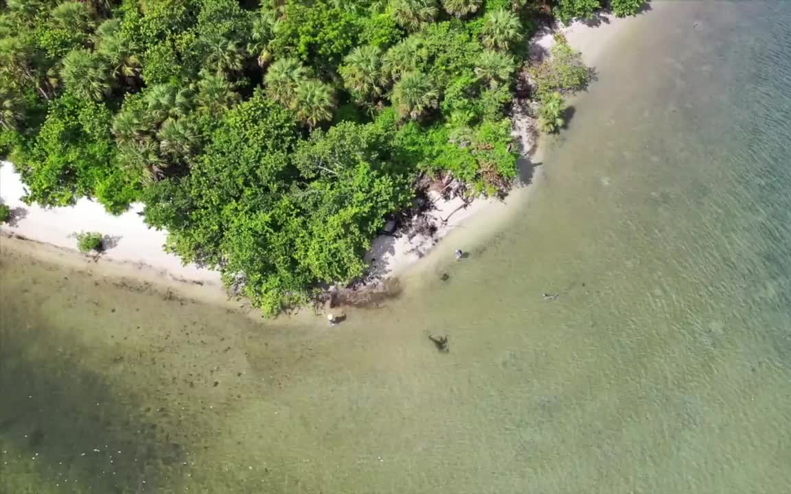 [图]泰国美食**碧海青天，在岛上采摘海葡萄，蘸甜虾酱