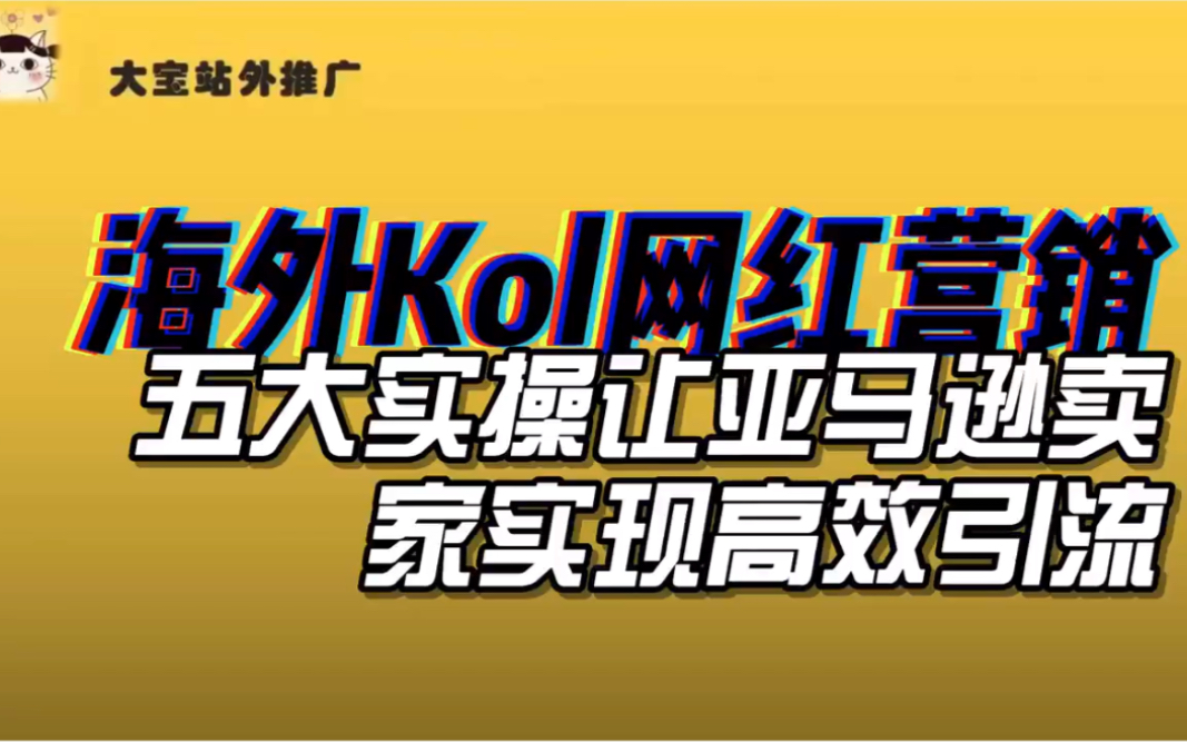 海外Kol网红营销,五大实操让亚马逊卖家实现高效引流哔哩哔哩bilibili