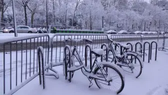 下雪啦 新宿御苑玩雪 日语生肉 ゆきりぬ 哔哩哔哩 Bilibili
