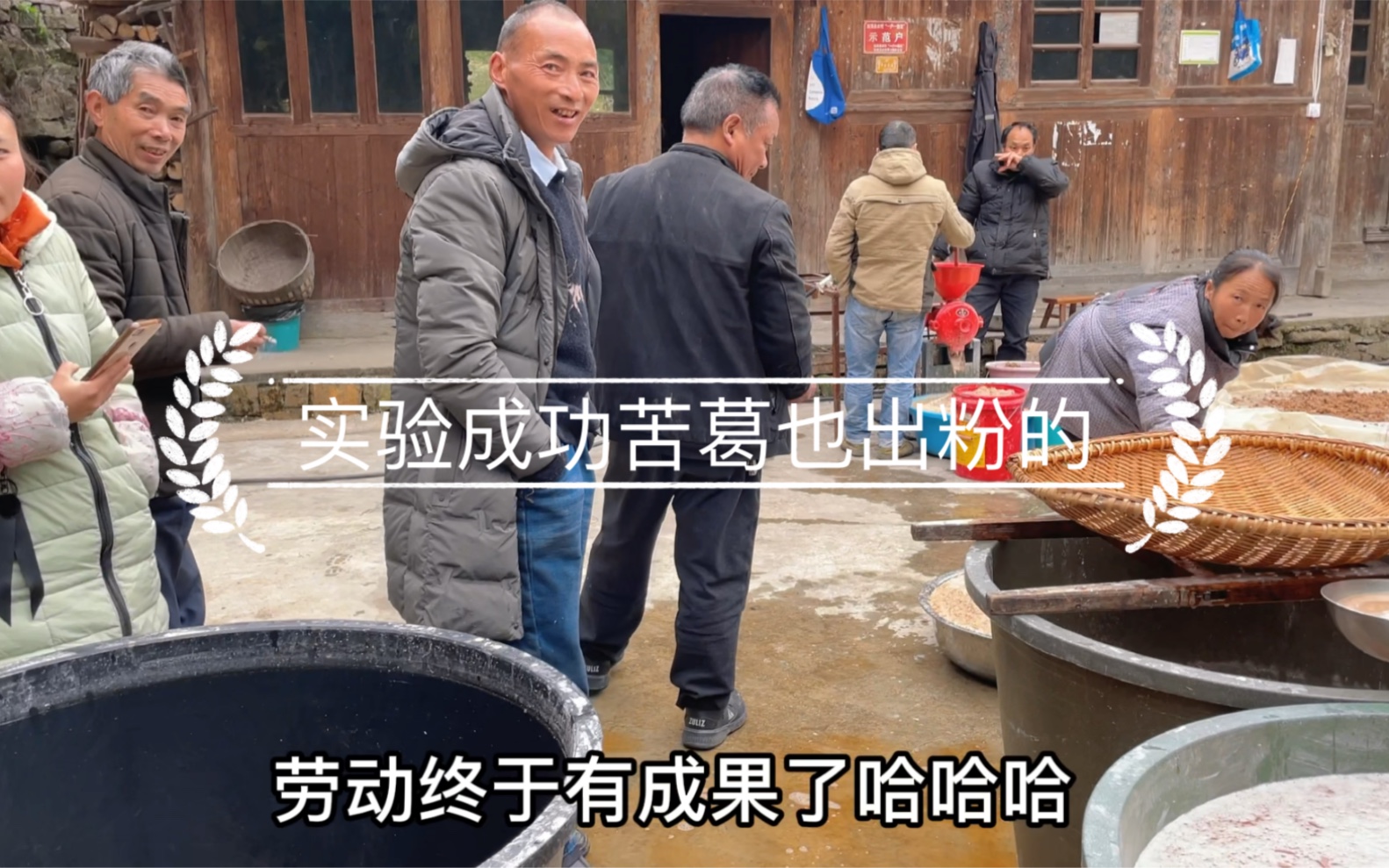 终于有机会实验苦葛出不出粉了,实验成功原来苦葛也出粉的,虽然出粉率比较低哔哩哔哩bilibili