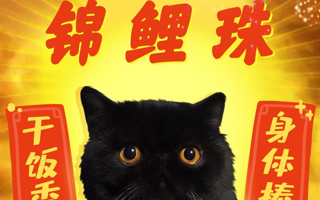 [图]我家小黑猫的好运体质发威啦！快来许愿吧！