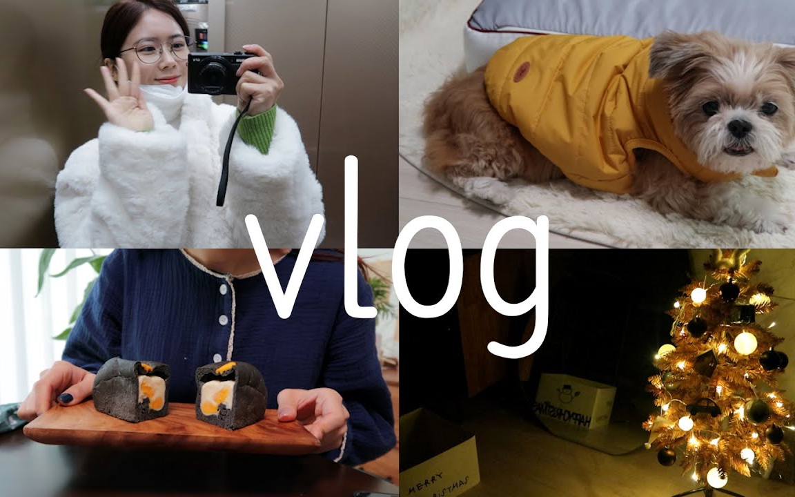 丨Vlog.3丨中字丨美食丨美甲丨日常生活丨圣诞树丨煲剧日常丨【Mongsilunnie】哔哩哔哩bilibili