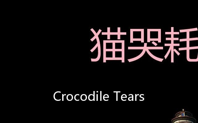 猫哭耗子假慈悲 Chinese Pronunciation crocodile tears哔哩哔哩bilibili