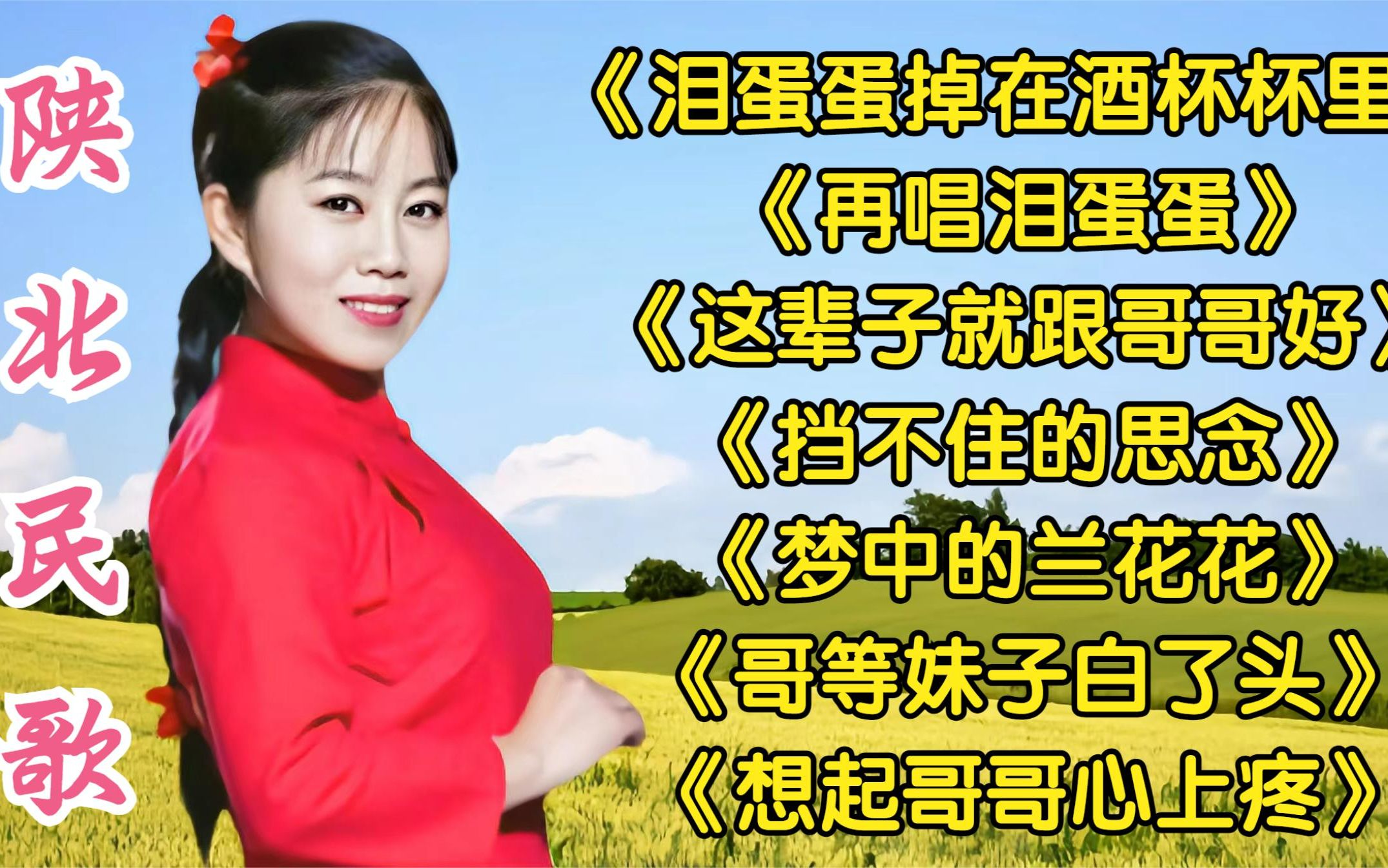 陕北民歌《泪蛋蛋掉在酒杯杯里》《再唱泪蛋蛋》