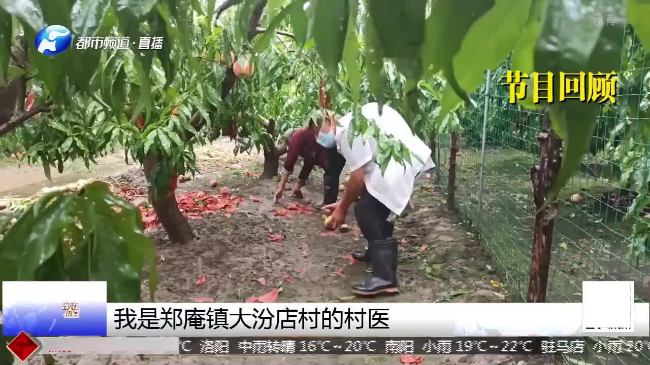 七旬村医抗疫桃子烂在地:你帮大家抗疫,大家帮你卖桃!哔哩哔哩bilibili