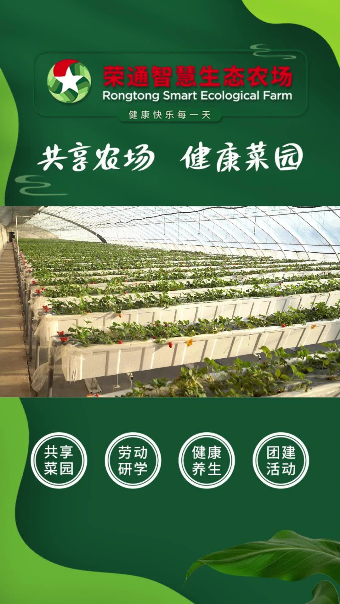 龙岩农场——绿色田园的瑰宝