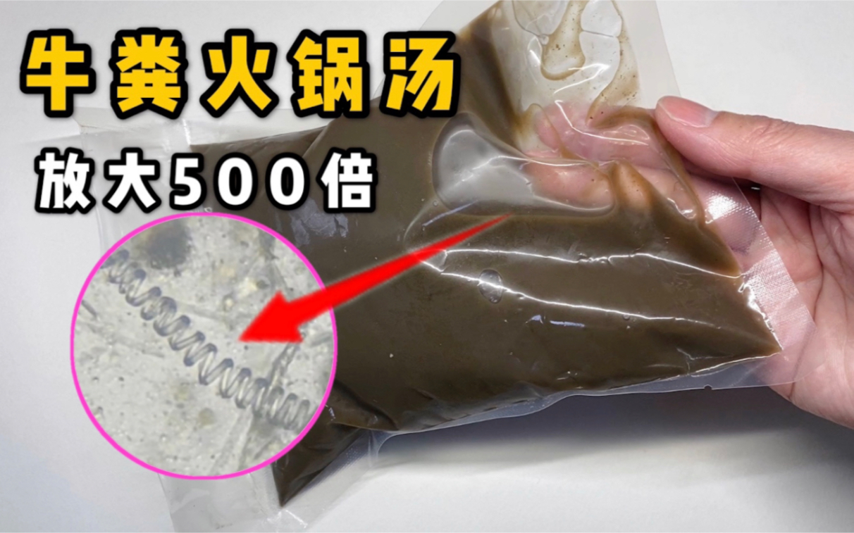 牛粪火锅真的是用牛屎做的吗?把它放大500倍里面居然有弹簧!