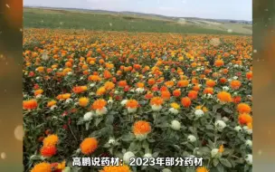 Download Video: 高鹏说药材：2023年部分药材产能激增或将拖累整体行情