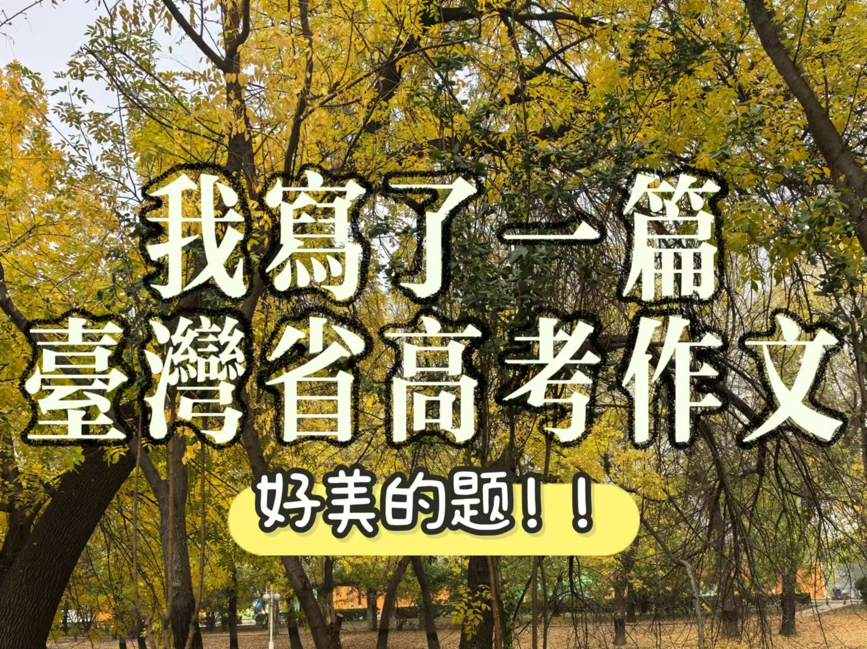 出于不服,我写了一篇台湾省的高考作文-中文系五匪子-中文系五匪子-哔哩哔哩视频