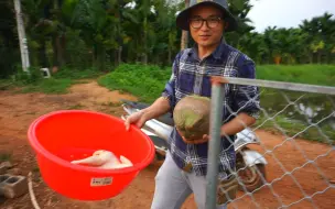 下载视频: 5年的老母鸡生不出鸡蛋，小伙实在没办法，炖个椰子鸡汤补一补