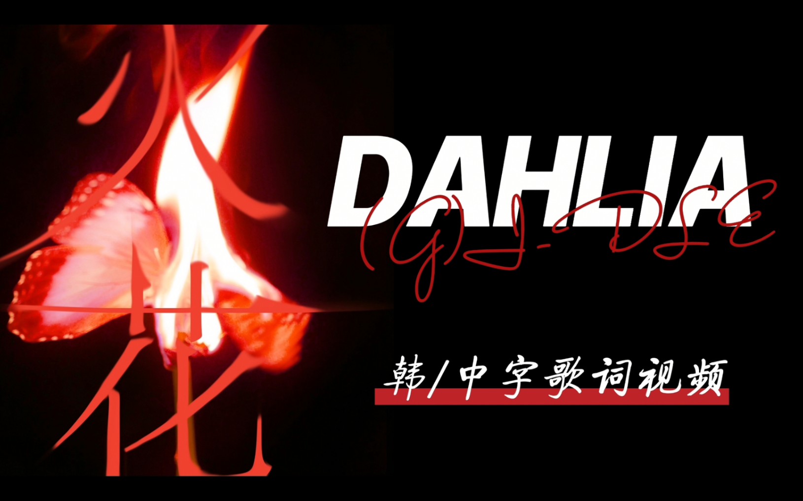 【LIZ中字】(G)IDLE 《DAHLIA》韩/中字歌词视频哔哩哔哩bilibili