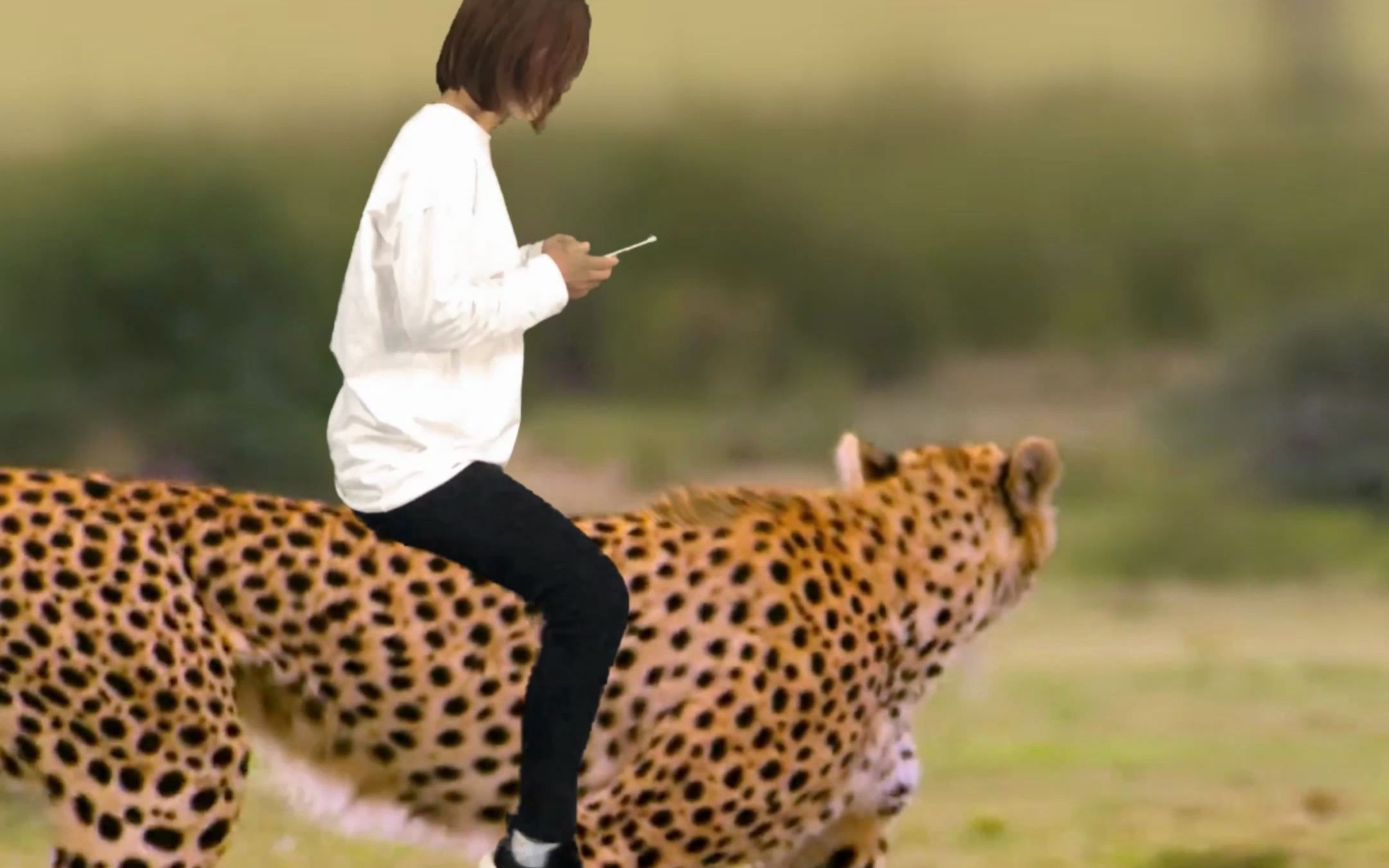 活动作品骑豹子玩手机你们敢吗