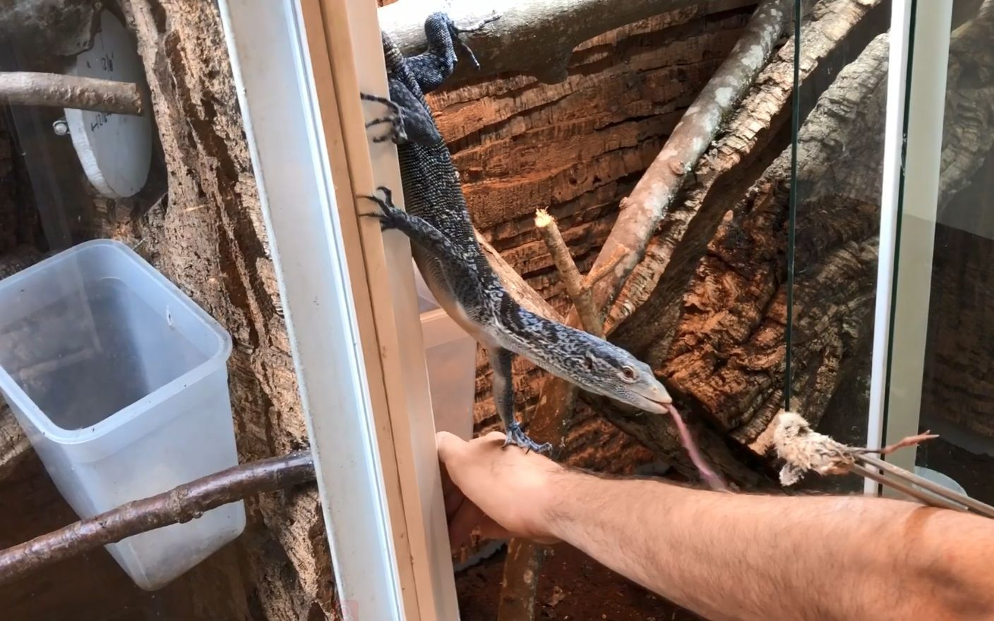 无人声助眠敲击喷雾摇晃