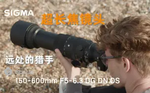 下载视频: 荷花，鸟类，动物，远摄利器 适马150-600 F5-6.3 DG DN