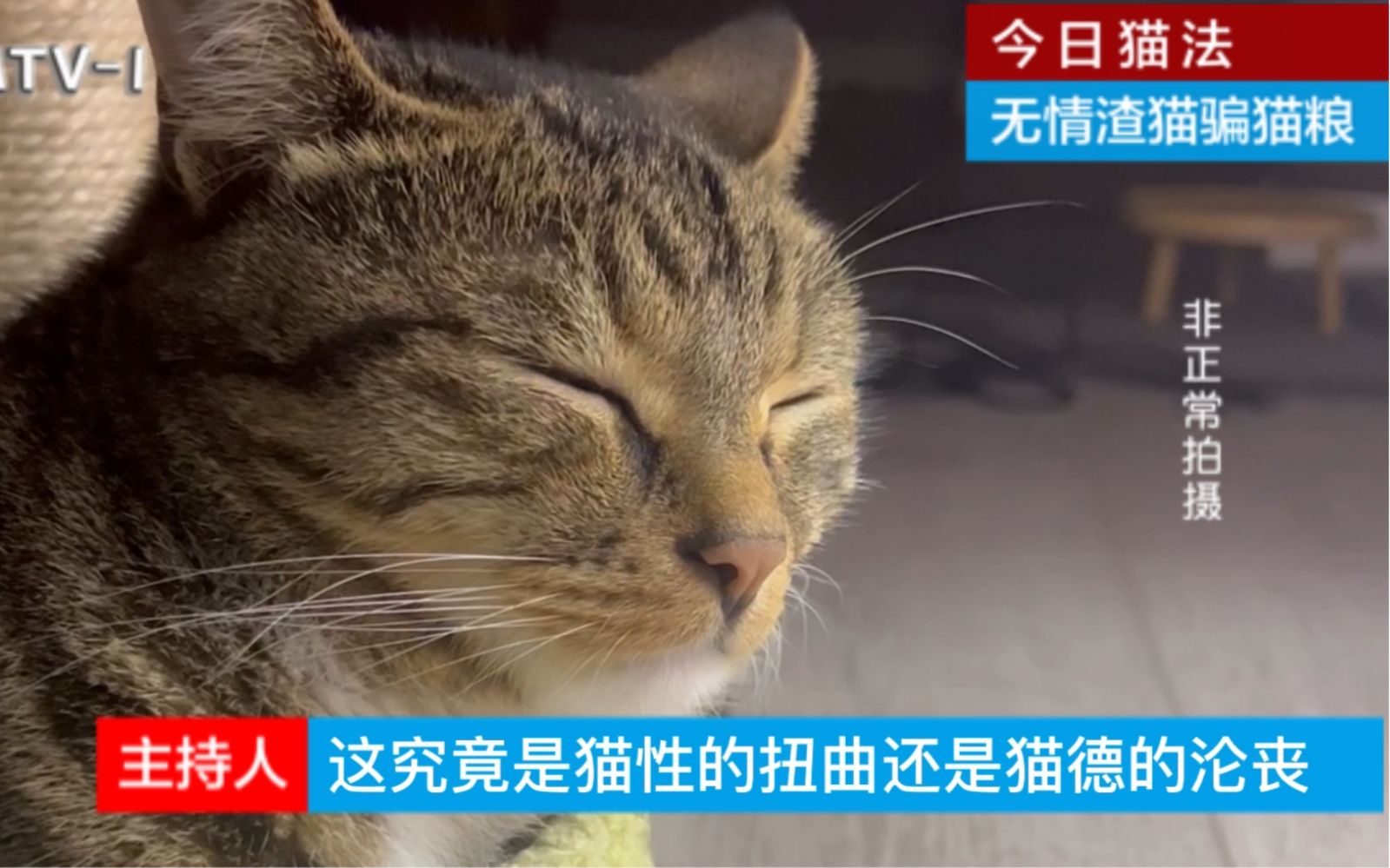 警惕渣猫骗局哔哩哔哩bilibili