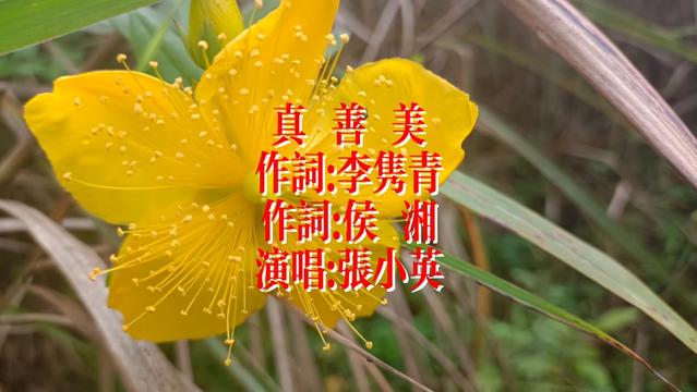 真善美 演唱:张小英