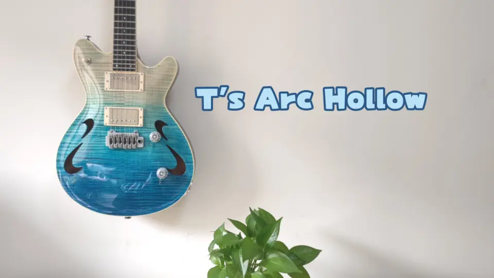 T's Guitars Arc Hollow 24 定制分享_哔哩哔哩_bilibili