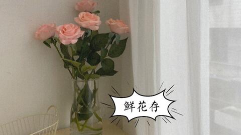 母亲节花束如何保存 看这里 哔哩哔哩