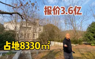 Descargar video: 3.6亿世茂佘山庄园二期占地8330㎡