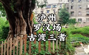 Video herunterladen: 寻访泸州罗汉古渡口遗址，三位330岁老者矗立于此，古意盎然