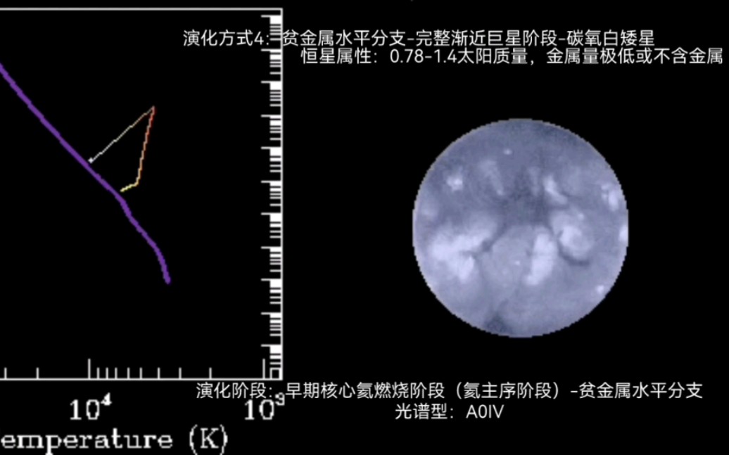 [图]【科普】恒星氦闪后的各种演化方式