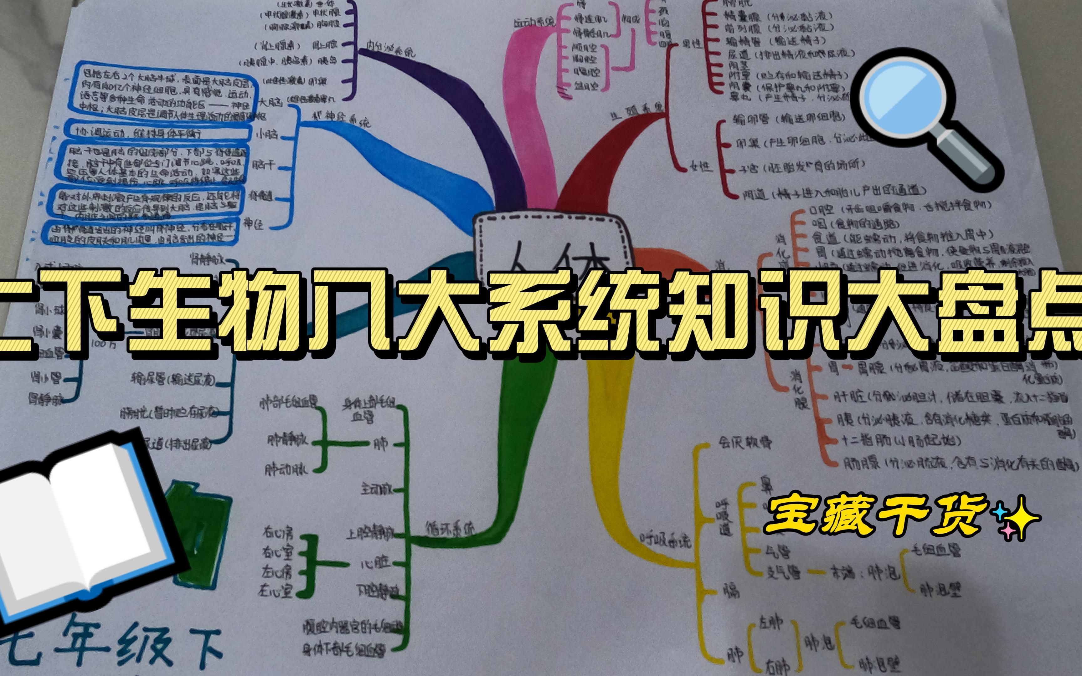 [图]再肝2小时完成七下生物八大系统手抄报