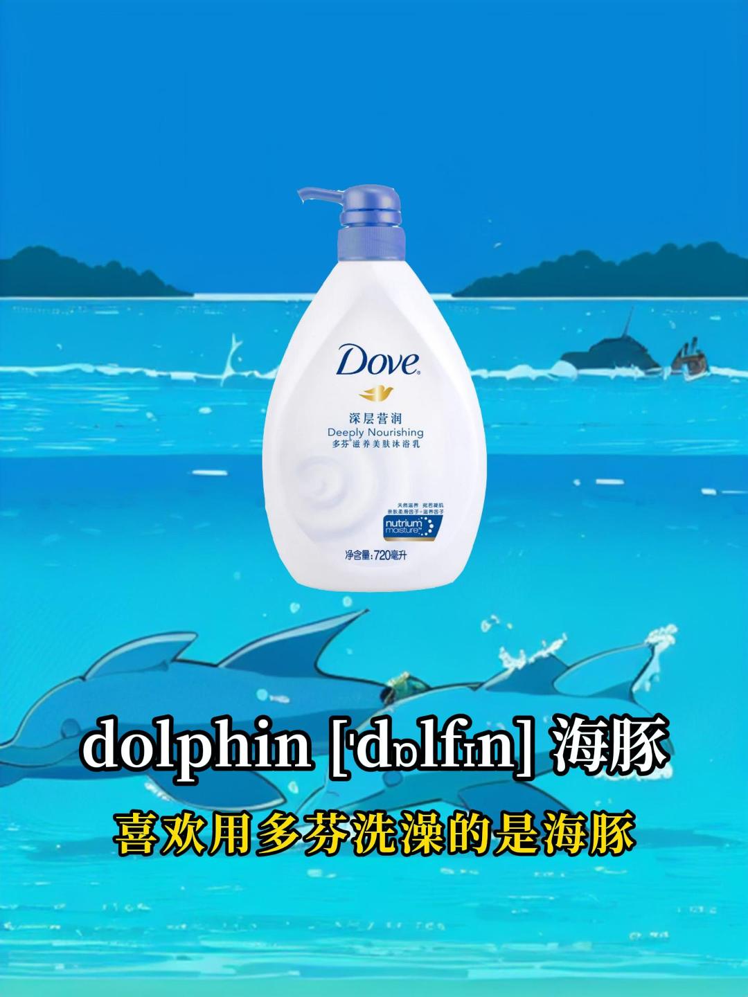 英语单词助记视频:dolphin,海豚.哔哩哔哩bilibili